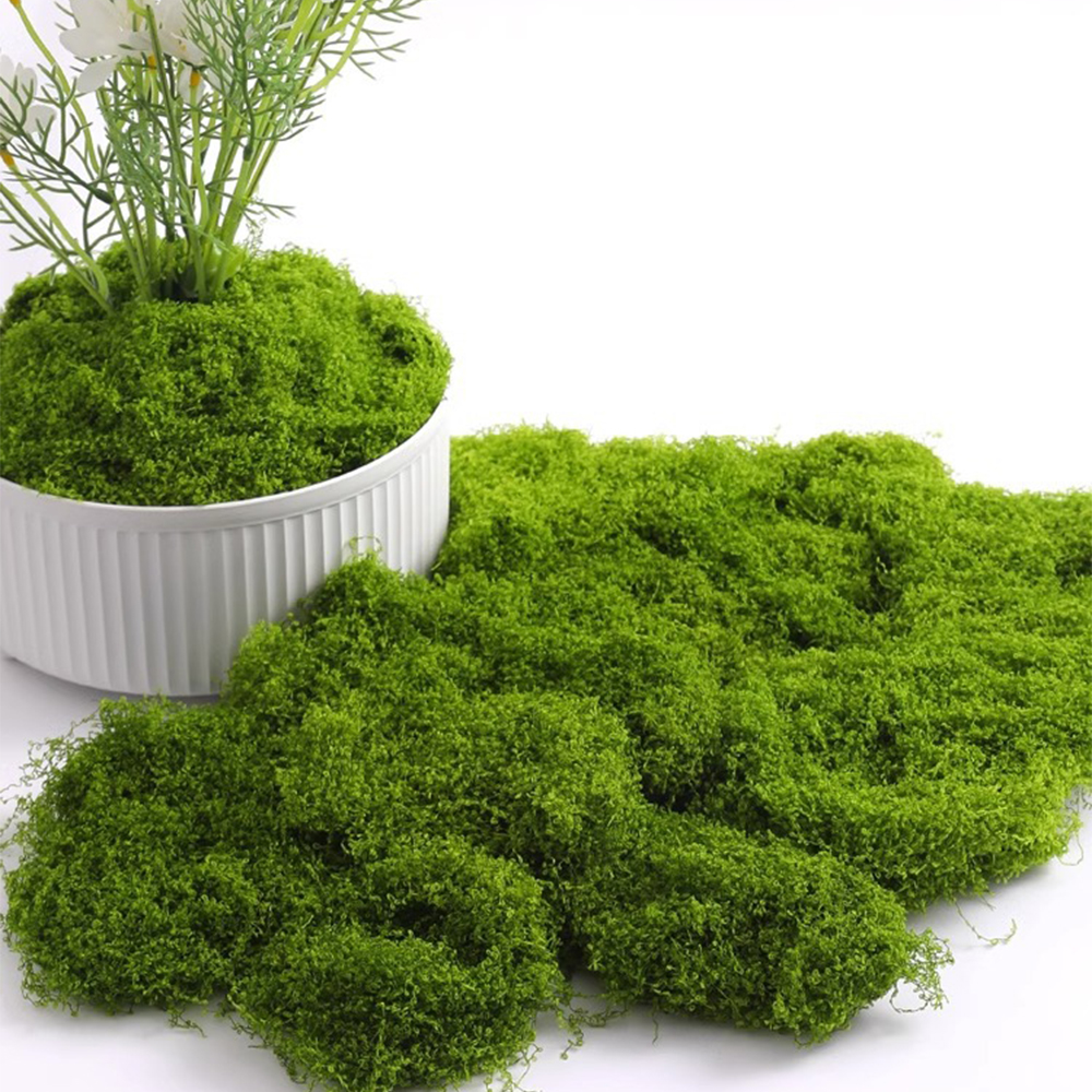 Aquarium Plant Root Tabs - Eternal Life Moss DIY Crafts Grass