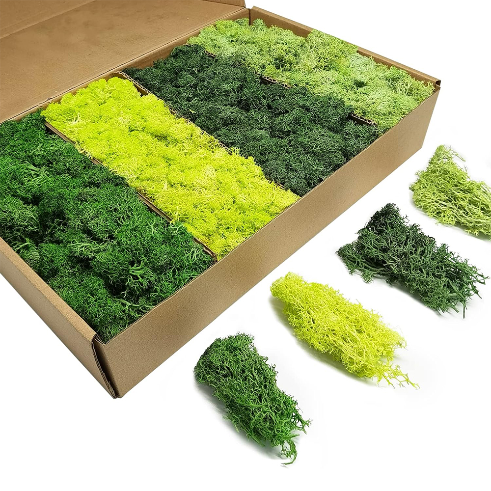 Aquarium Plant Root Tabs - Artificial Green Plants Eternal Life Moss