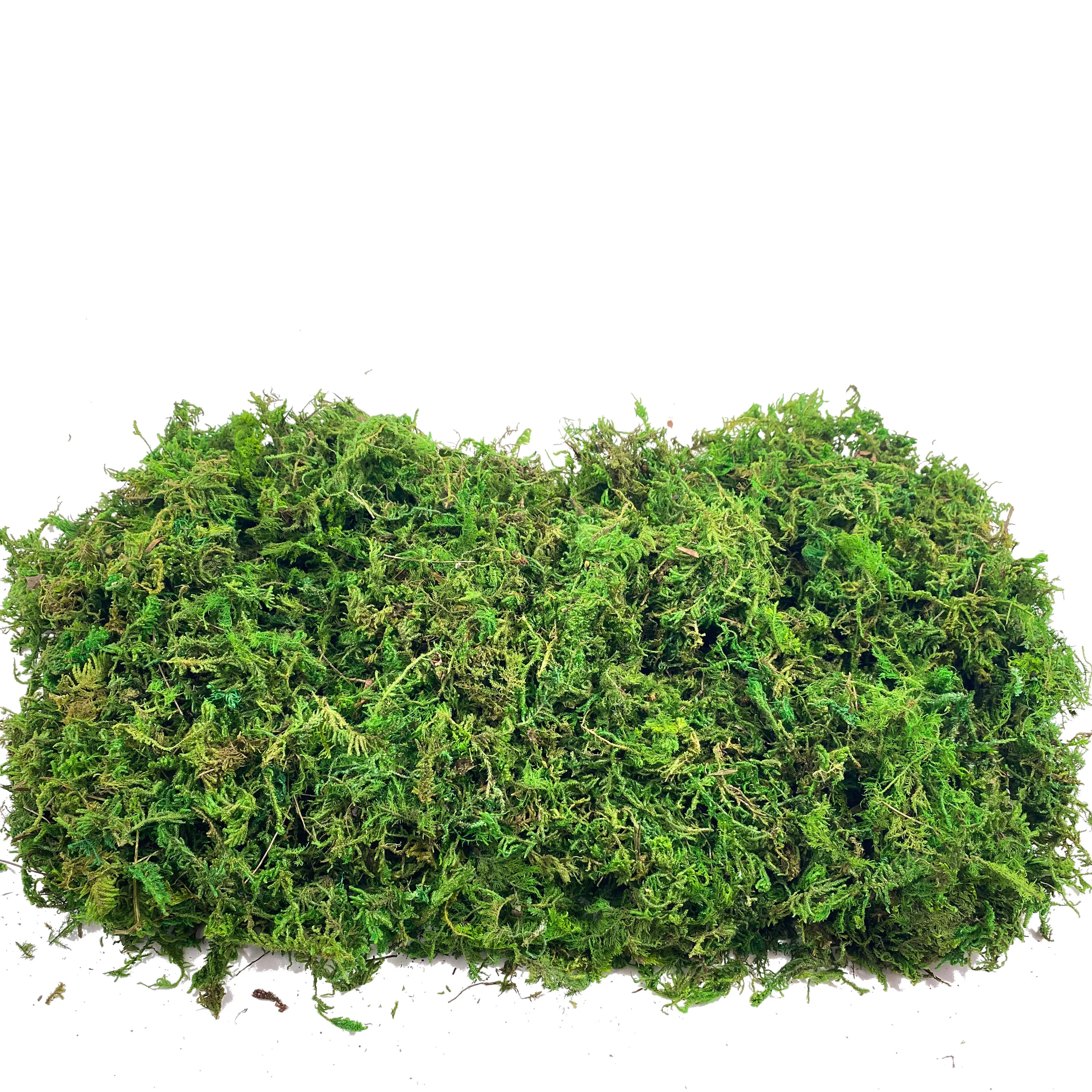 Fake Moss Artificial Moss for  - Aquarium Plant Root Tabs avaliação e preço