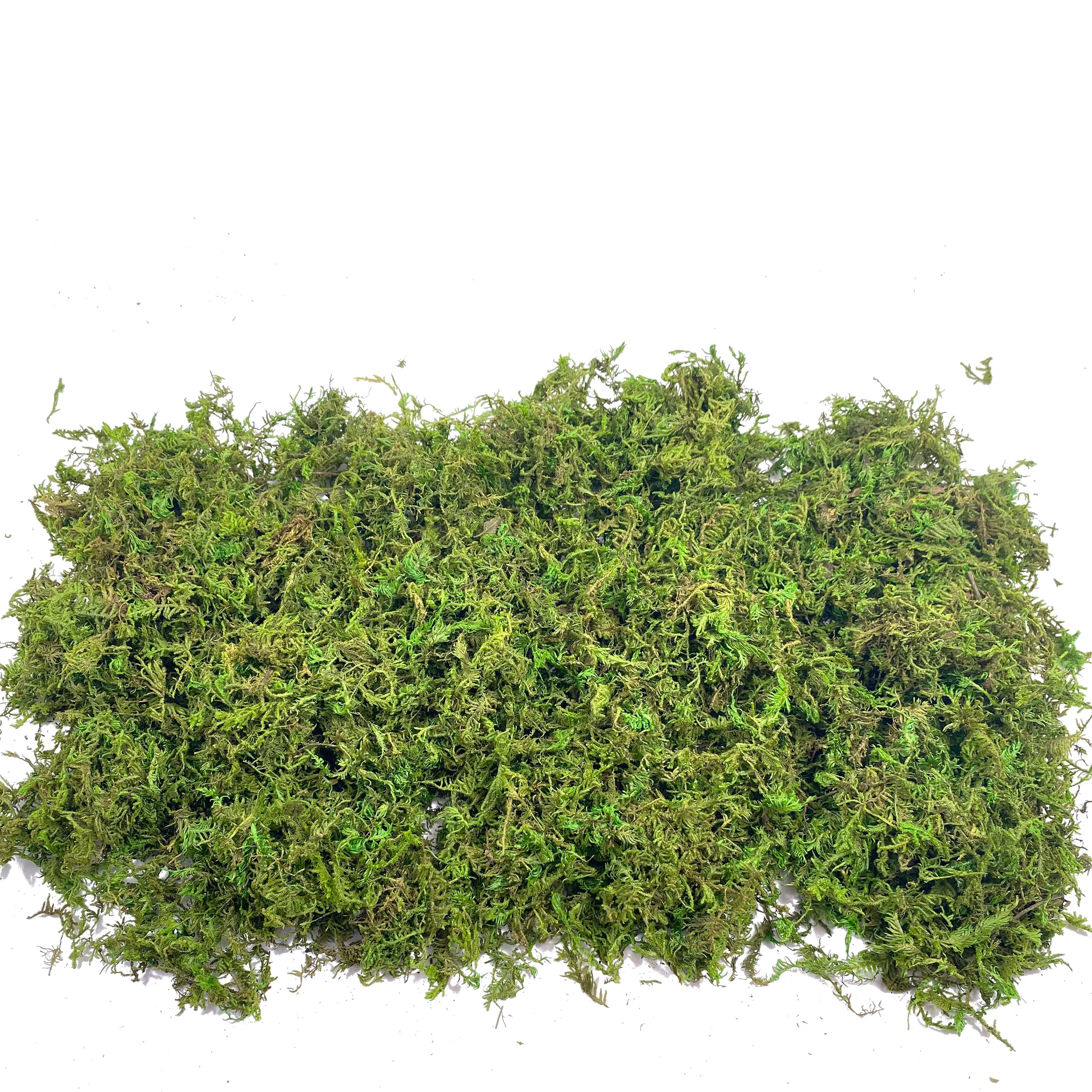 Fake Moss Artificial Moss for  - Aquarium Plant Root Tabs avaliação e preço