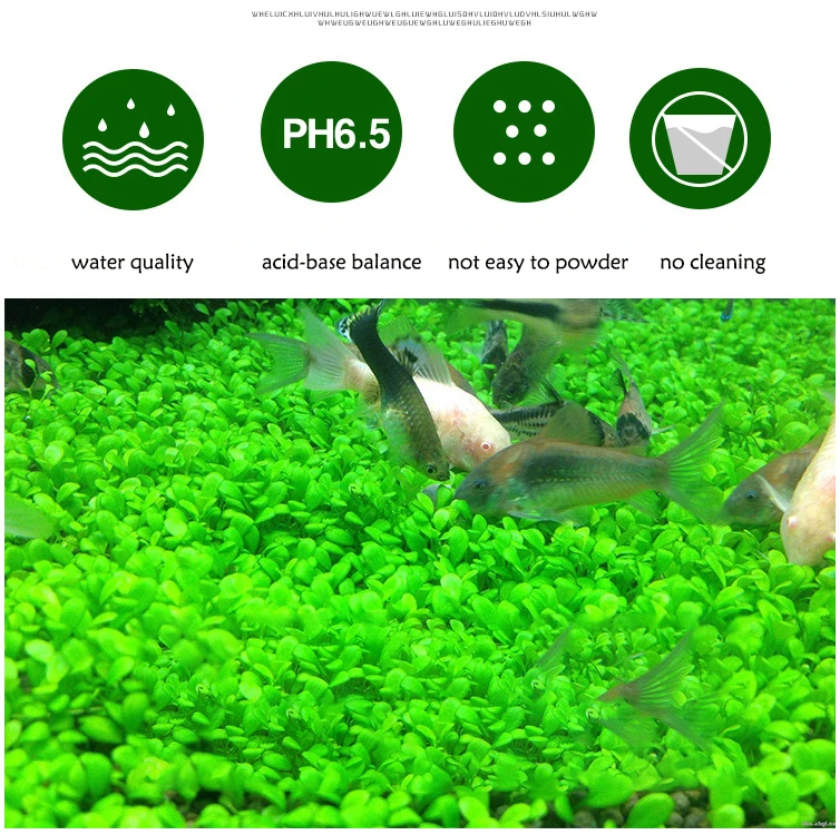 Fish Tank Water Grass Mud Plan - Aquarium Plant Root Tabs avaliação e preço