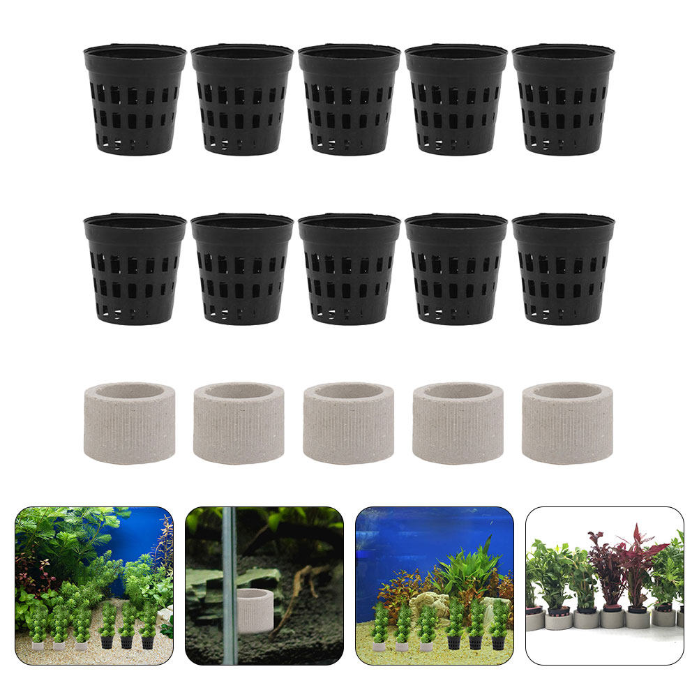 1Set Aquarium Water Plant Fixi - Aquarium Planted Setup avaliação e preço