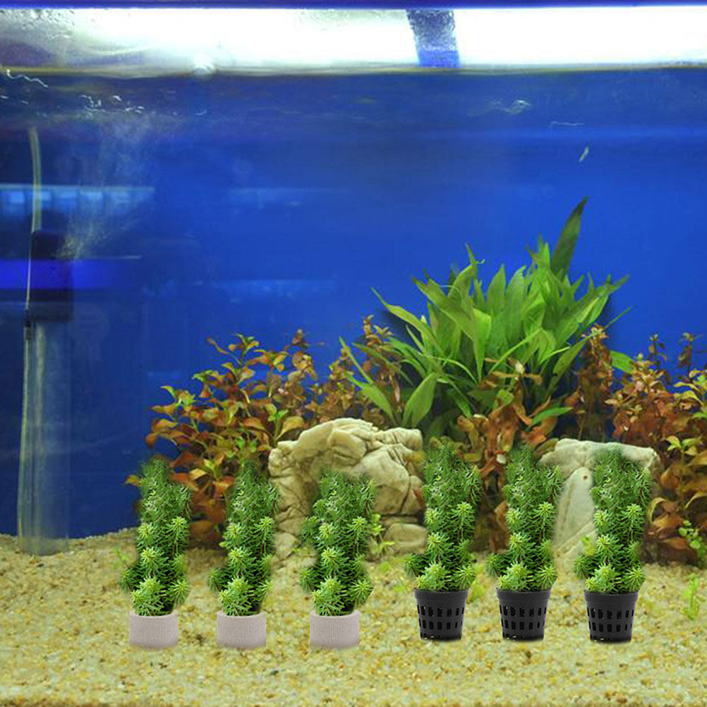 1Set Aquarium Water Plant Fixi - Aquarium Planted Setup avaliação e preço