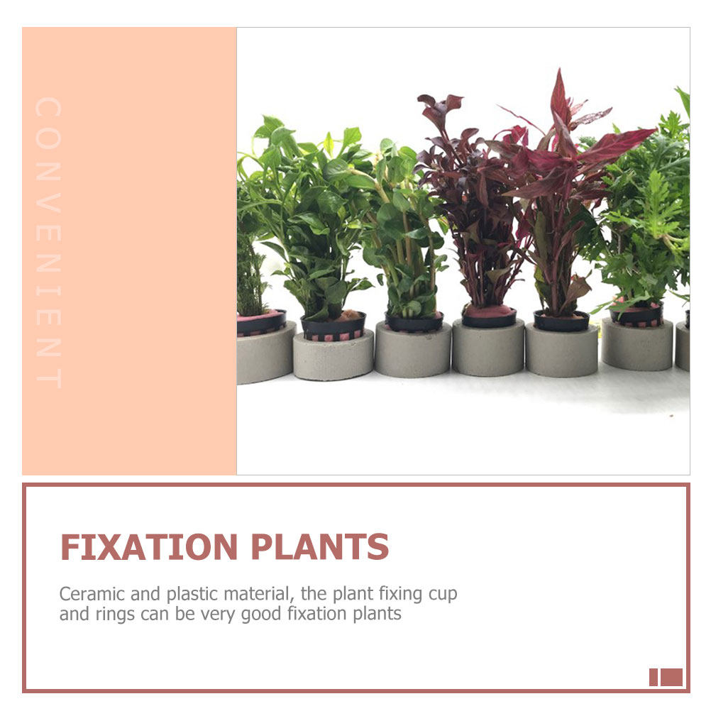 1Set Aquarium Water Plant Fixi - Aquarium Planted Setup avaliação e preço