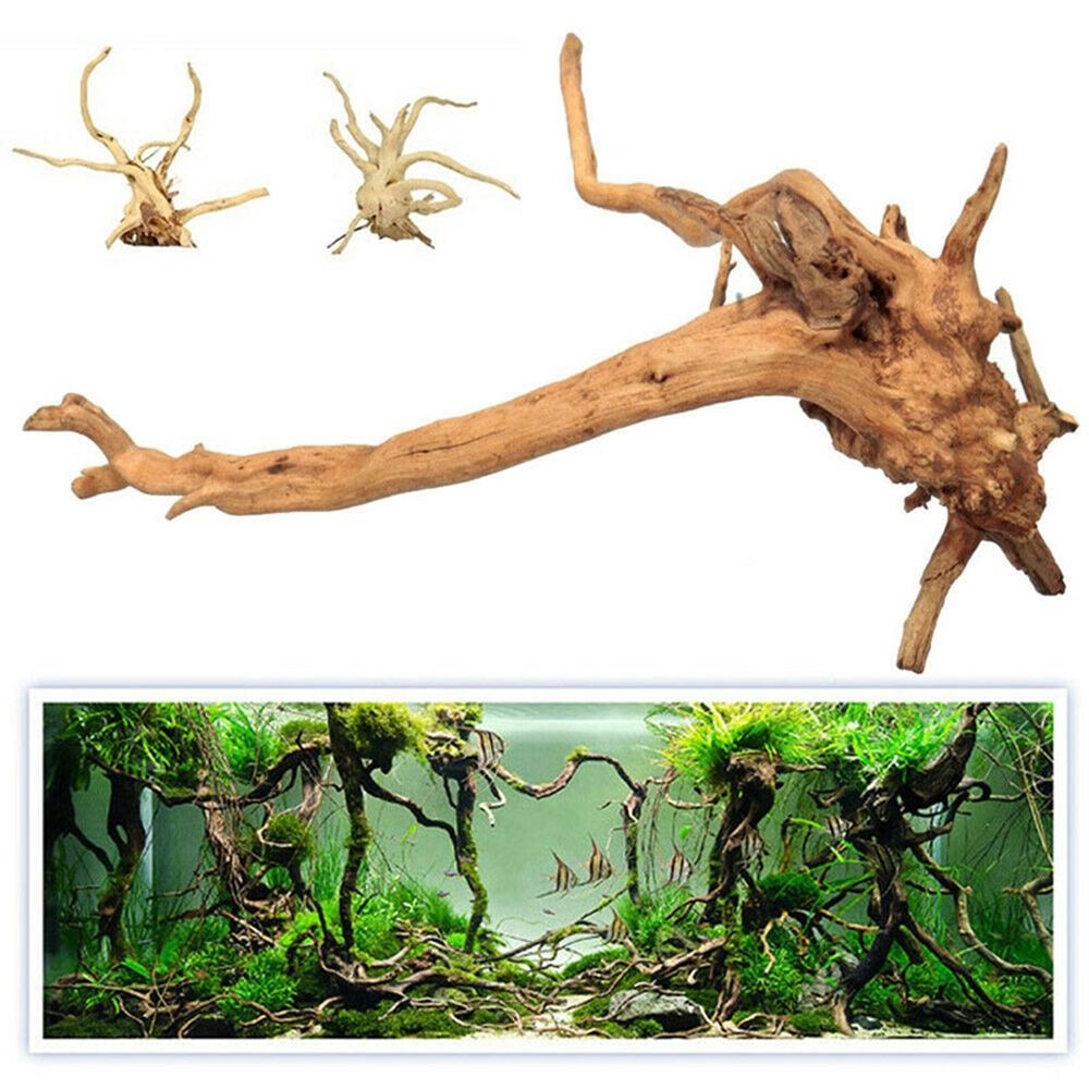 New Natural Wooden Fish Tank D - Aquarium Plant Root Tabs avaliação e preço