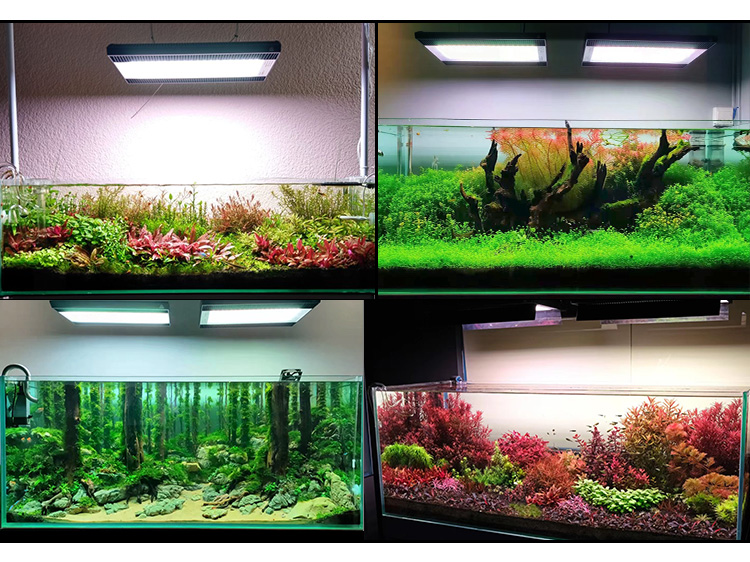 WEEK AQUA A430Pro LED Aquarium - Aquarium Plant Light Spectrum avaliação e preço