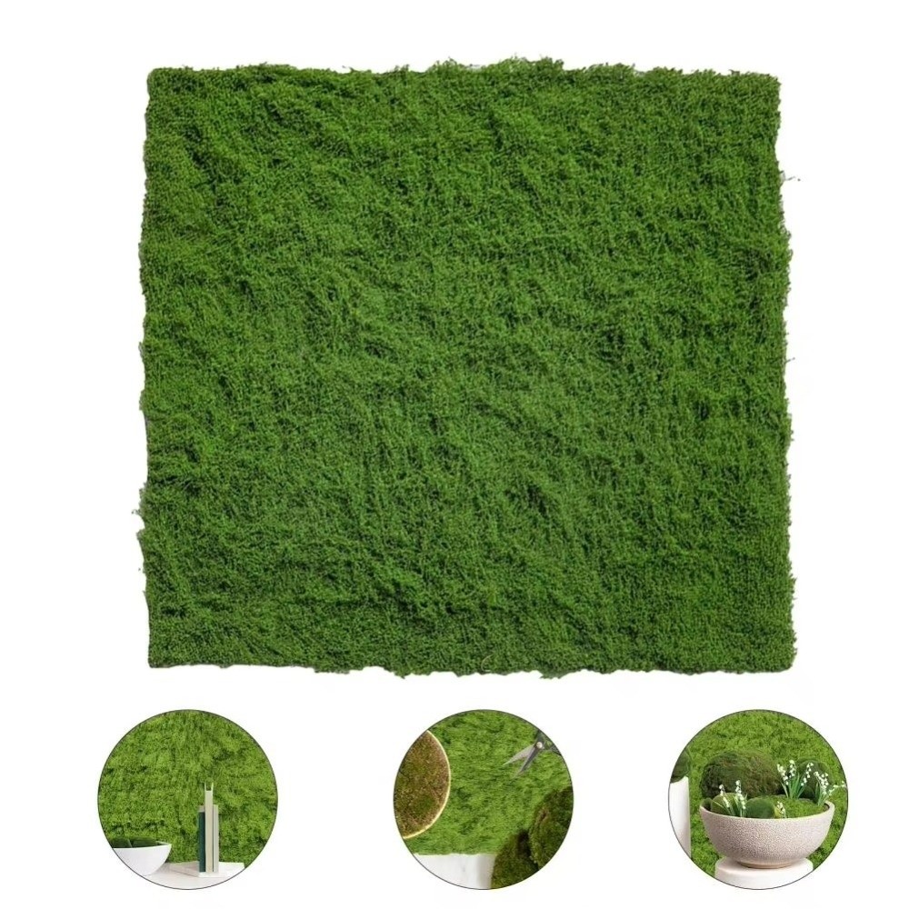 DIY Artificial Grass Rug Lifel - Aquarium Plant Root Tabs avaliação e preço