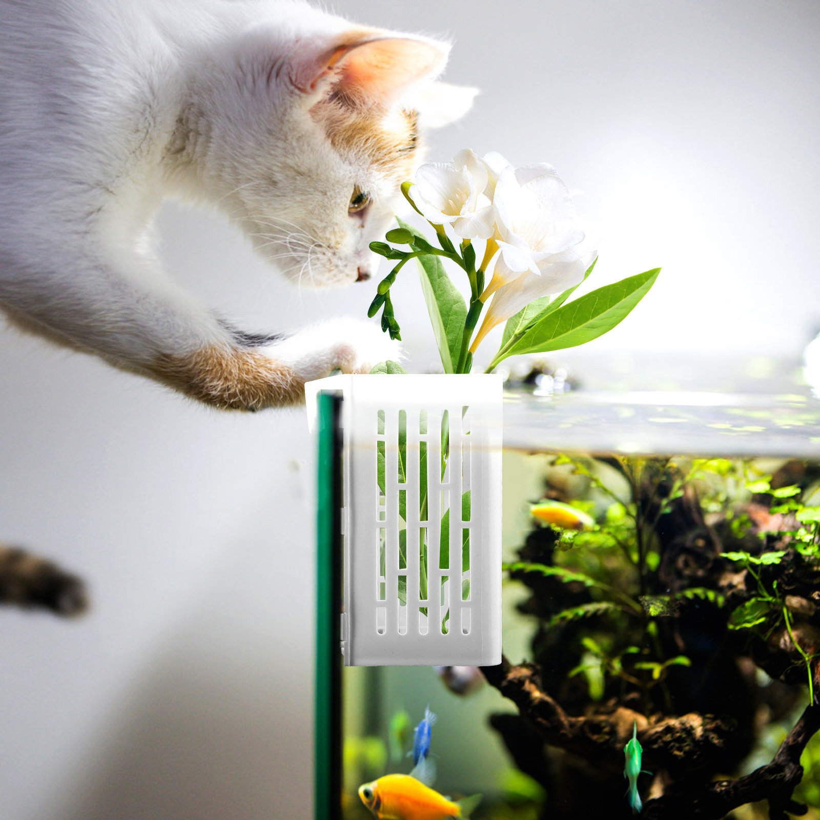 2Pcs Aquatic Plant Holder Hang - Aquarium Planted Setup avaliação e preço