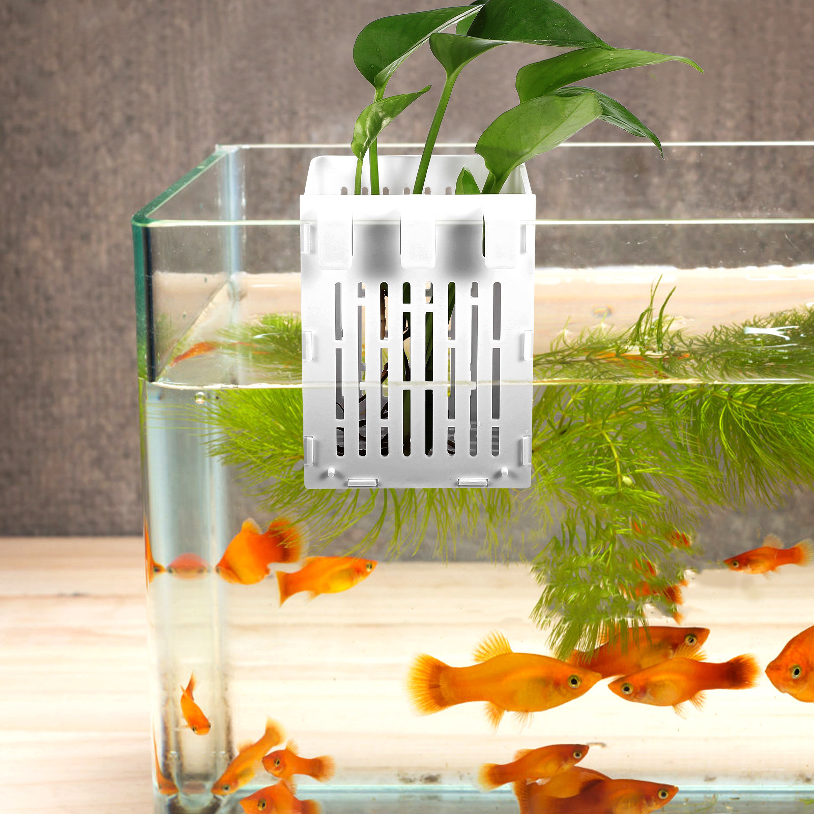 2Pcs Aquatic Plant Holder Hang - Aquarium Planted Setup avaliação e preço