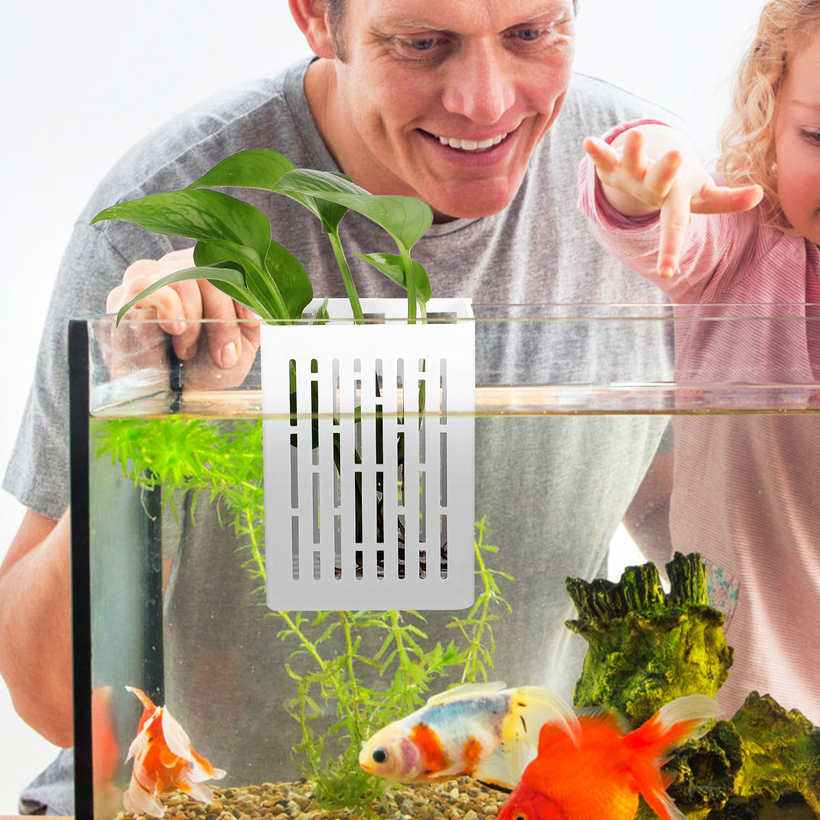 2Pcs Aquatic Plant Holder Hang - Aquarium Planted Setup avaliação e preço