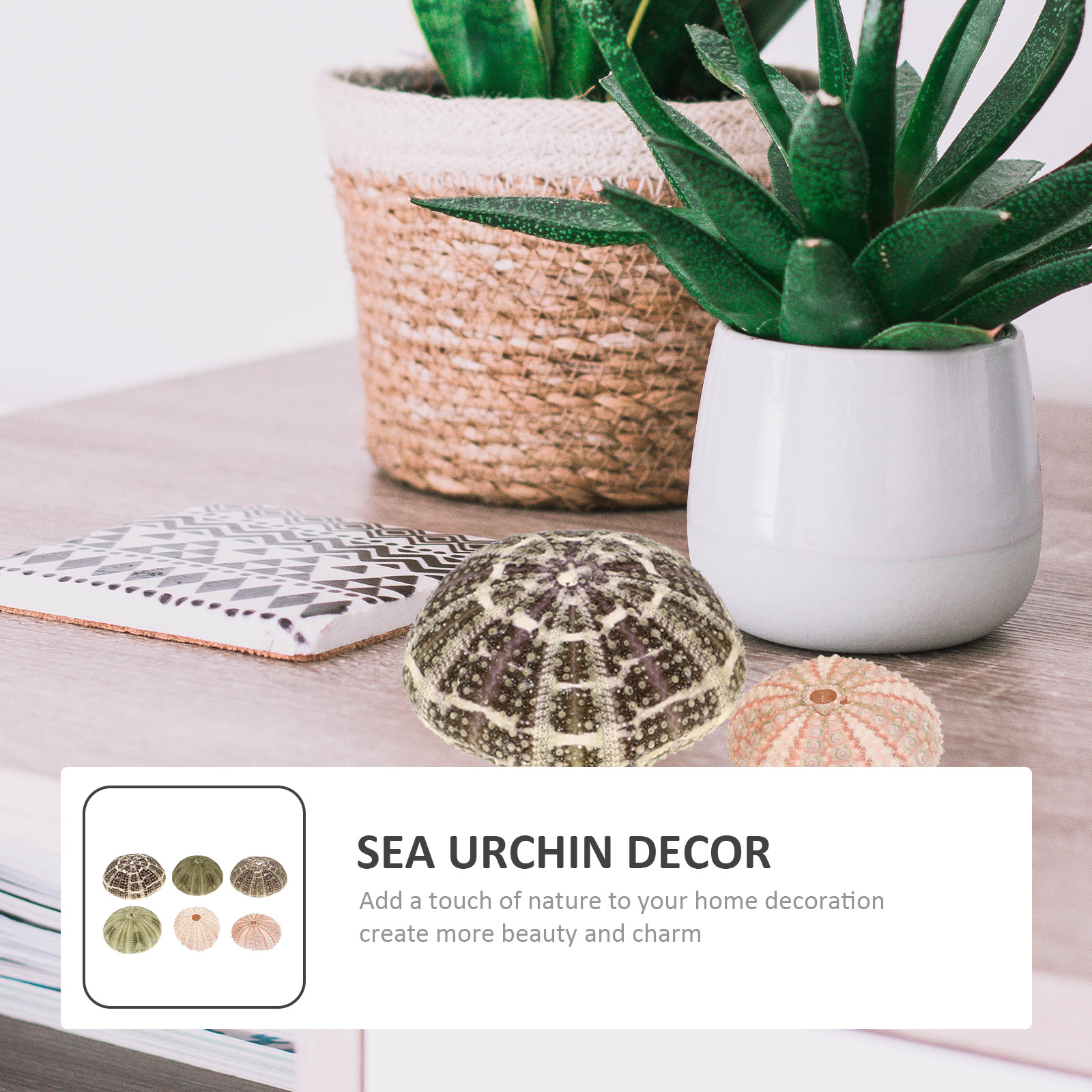 6Pcs Urchin Shell Ornament Air - Aquarium Planted Setup avaliação e preço