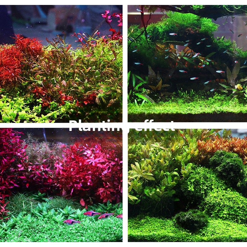 SYSENCIAGA Planted Aquarium Su - Aquarium Planted Tank Fertilizer avaliação e preço