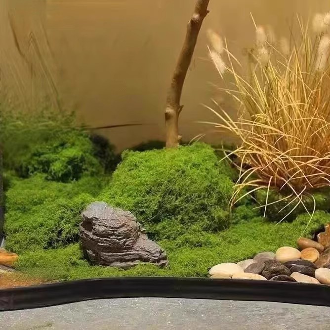 200g Eternal Life Moss DIY Cra - Aquarium Plant Root Tabs avaliação e preço