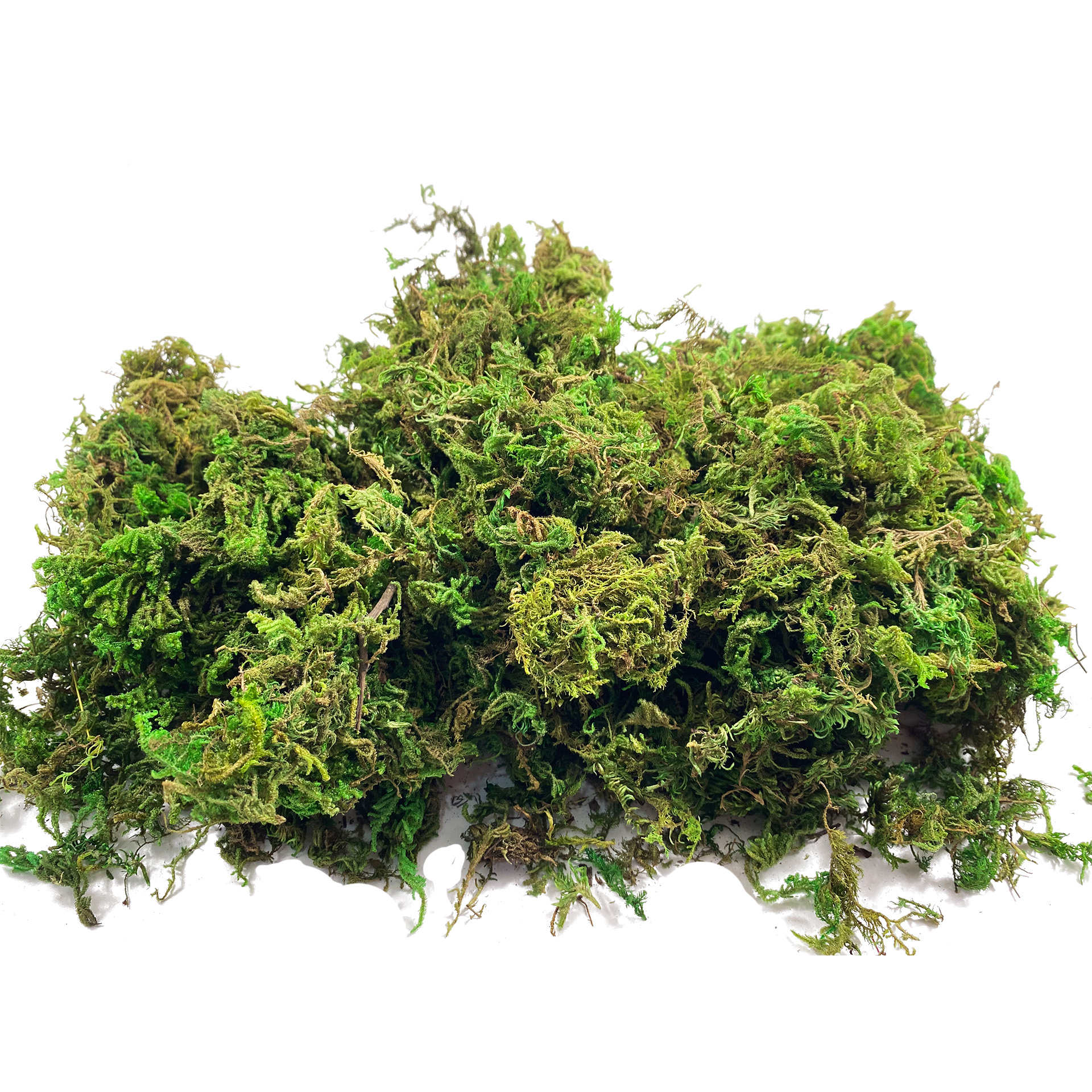 Artificial Fake Moss, Craft Mo - Aquarium Plant Root Tabs avaliação e preço
