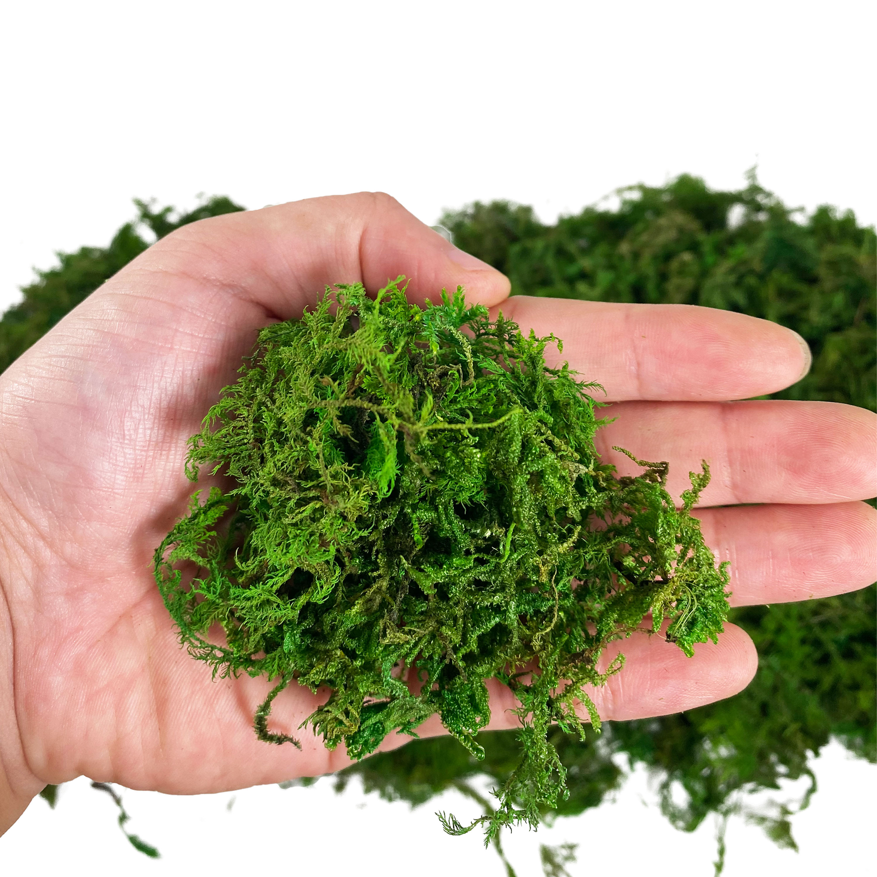 Artificial Fake Moss, Craft Mo - Aquarium Plant Root Tabs avaliação e preço