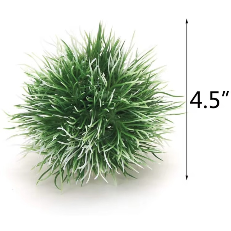 10pcs Hot Selling New Arrival  - Aquarium Plants For Sale avaliação e preço