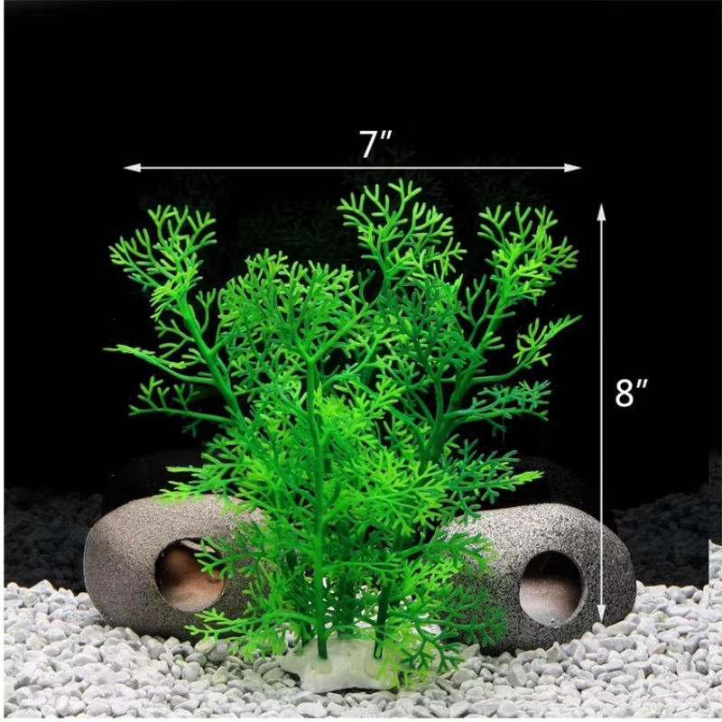 10pcs Hot Selling New Arrival  - Aquarium Plants For Sale avaliação e preço