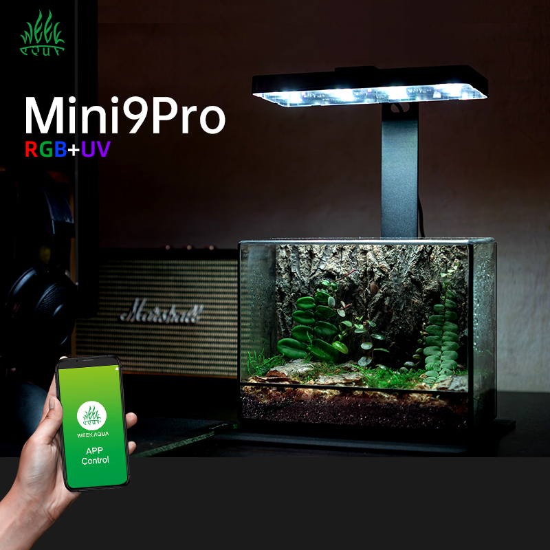 Hot Sale Mini9pro Nano Terrari - Aquarium Plants For Sale avaliação e preço