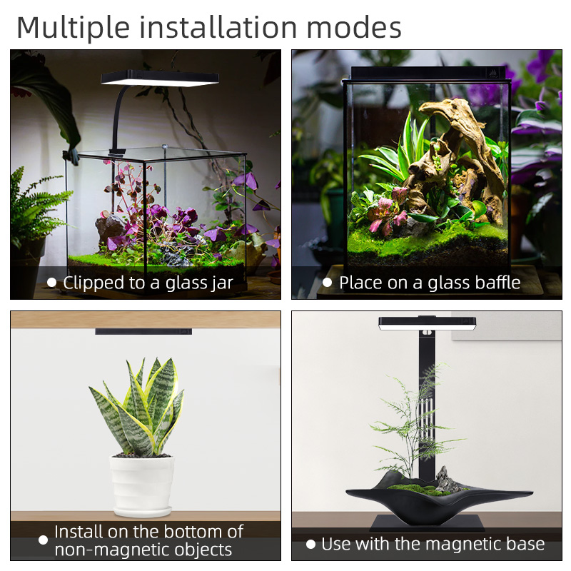 Hot Sale Mini9pro Nano Terrari - Aquarium Plants For Sale avaliação e preço