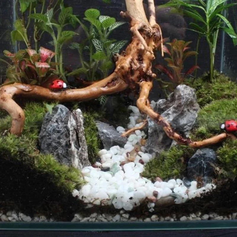 Natural Tree Trunk Driftwood A - Aquarium Plant Root Tabs avaliação e preço