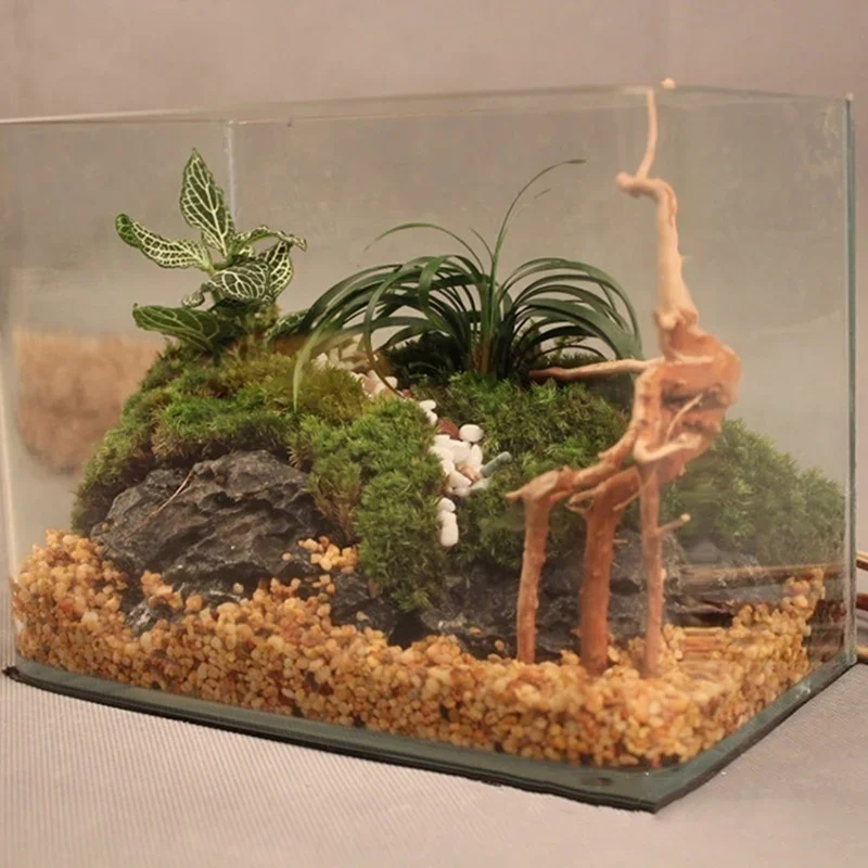 Natural Tree Trunk Driftwood A - Aquarium Plant Root Tabs avaliação e preço