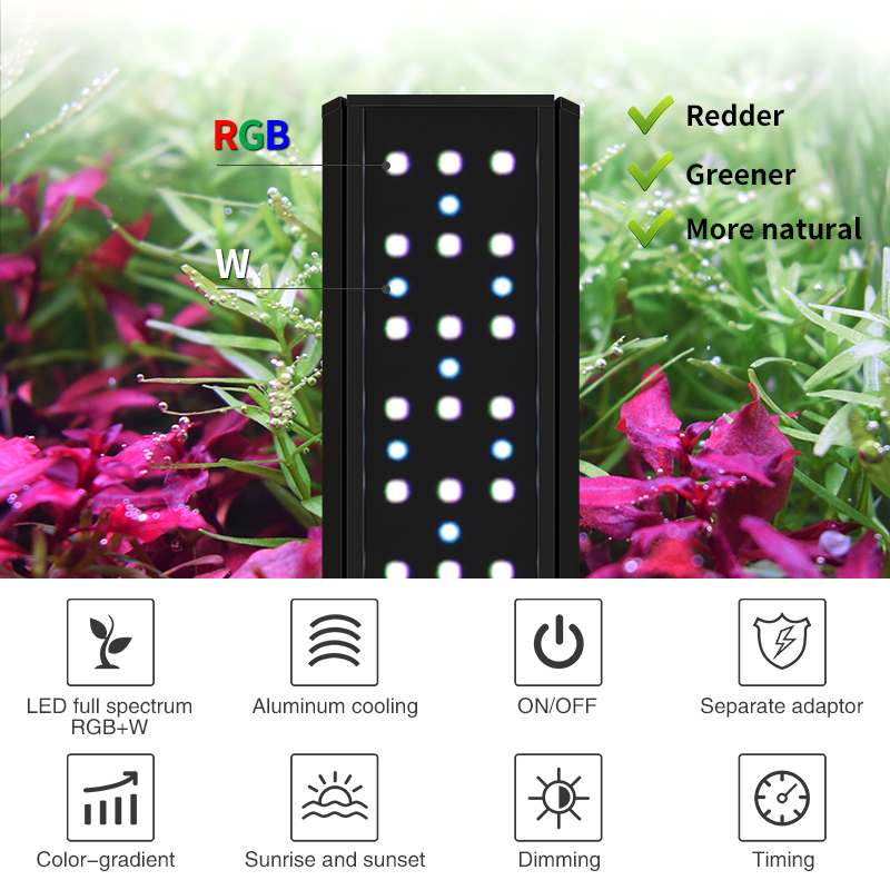 ZXY Hot Sale WEEKAQUA V400 WRG - Aquarium Plants For Sale avaliação e preço