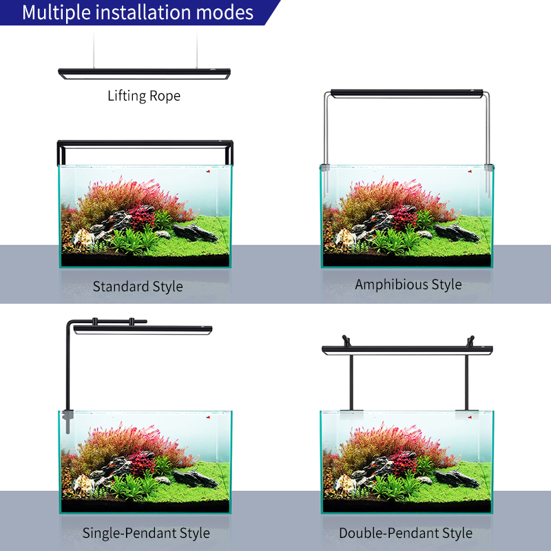 ZXY Hot Sale WEEKAQUA V400 WRG - Aquarium Plants For Sale avaliação e preço