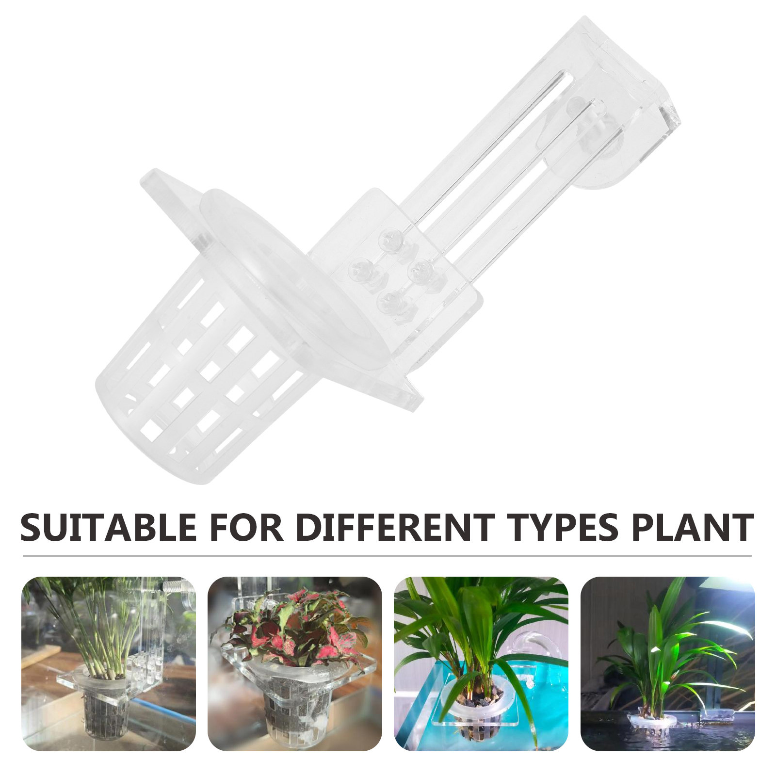 Aquarium Plant Holder Hanging  - Aquarium Planted Setup avaliação e preço