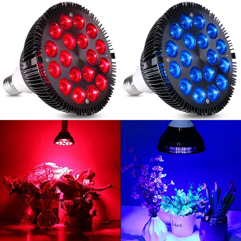 NEW Hot Sale LED Fish Tank Lig - Aquarium Plants For Sale avaliação e preço