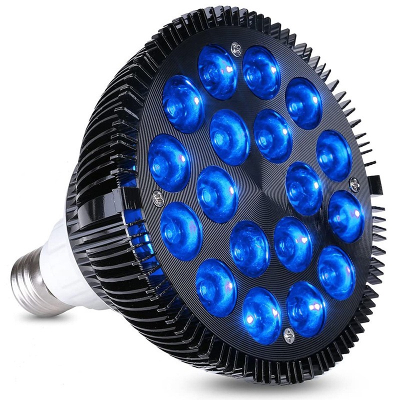 NEW Hot Sale LED Fish Tank Lig - Aquarium Plants For Sale avaliação e preço
