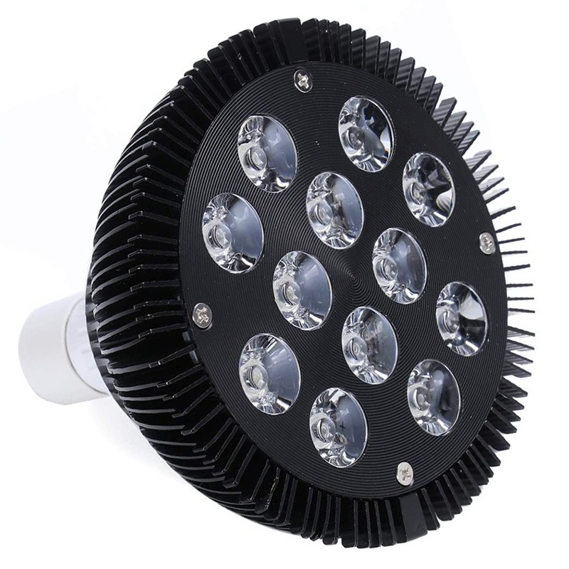 NEW Hot Sale LED Fish Tank Lig - Aquarium Plants For Sale avaliação e preço