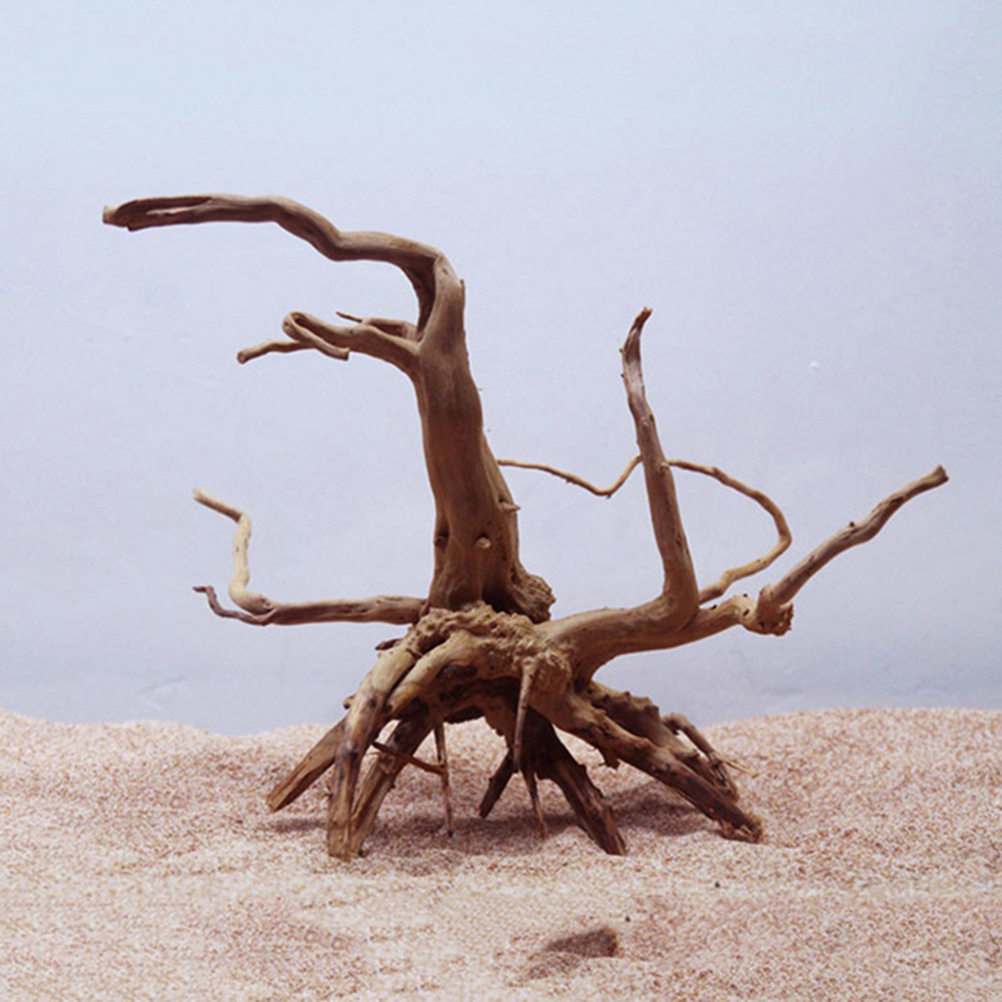 4pc Natural Driftwood Aquarium - Aquarium Plants For Sale avaliação e preço