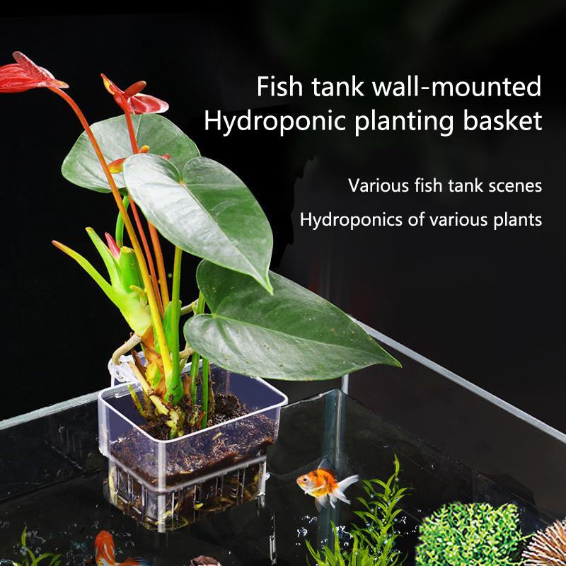 Aquarium Hydroponic Planting C - Aquarium Planted Setup avaliação e preço