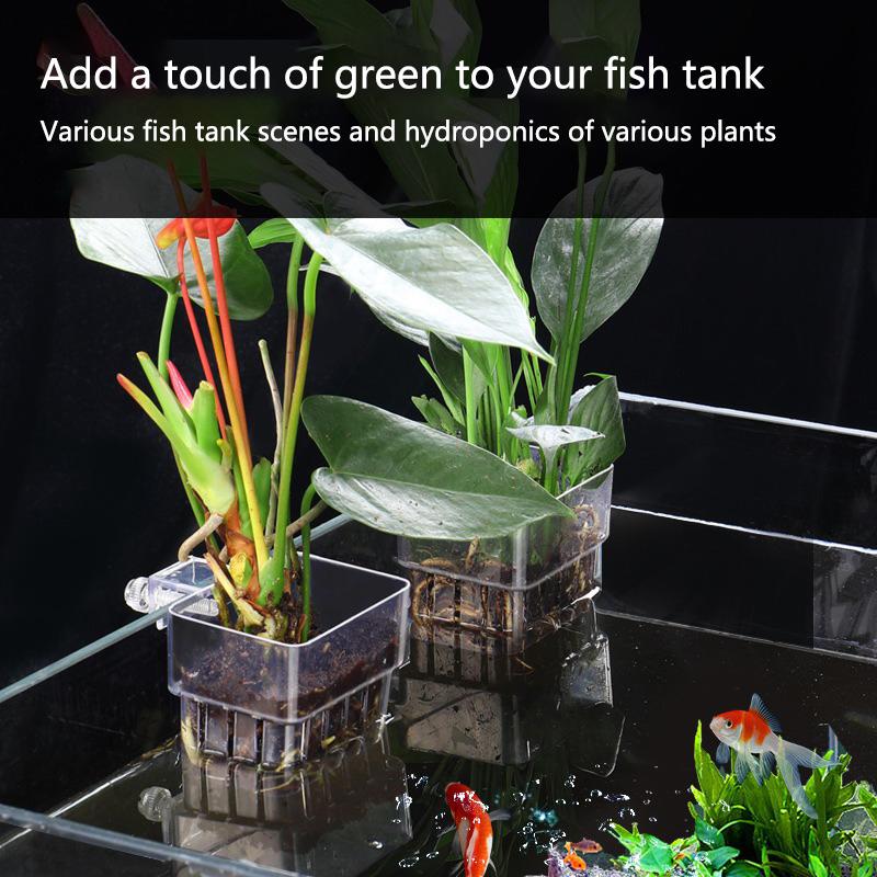 Aquarium Hydroponic Planting C - Aquarium Planted Setup avaliação e preço
