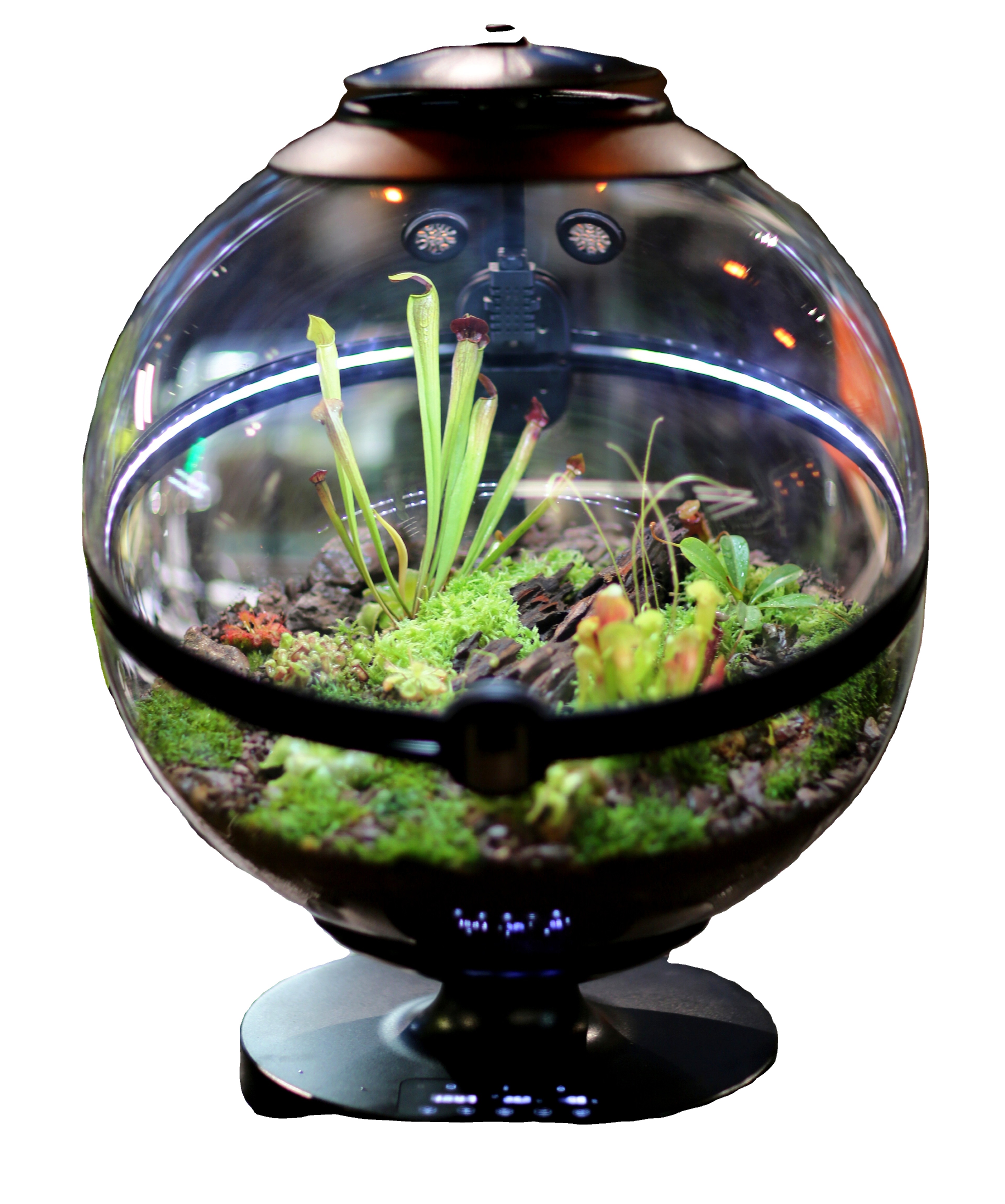 Hot Sales Acrylic Material  Ba - Aquarium Plants For Sale avaliação e preço