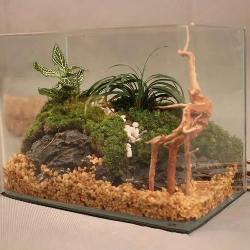 Natural Driftwood Cuckoo Roots - Aquarium Plant Root Tabs avaliação e preço