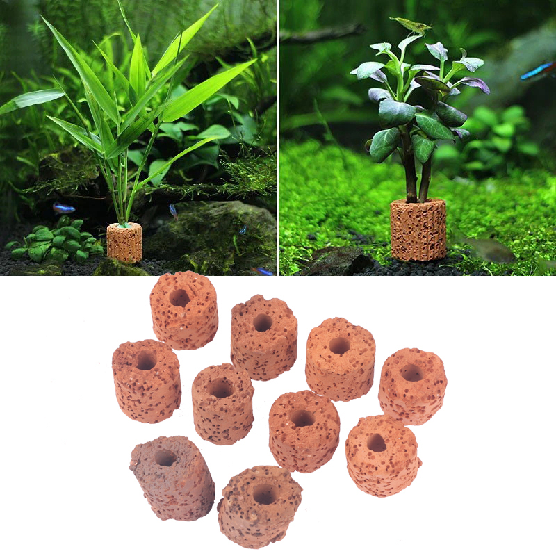 10Pcs Mini Aquatic Plant Ring  - Aquarium Planted Setup avaliação e preço