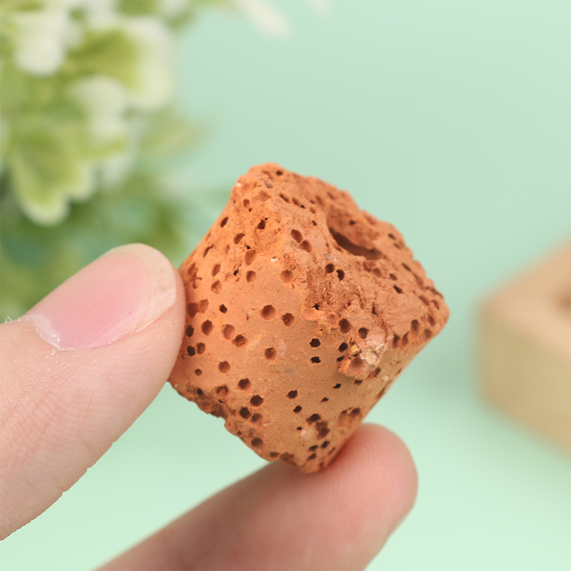 10Pcs Mini Aquatic Plant Ring  - Aquarium Planted Setup avaliação e preço