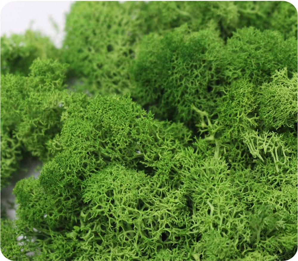 Artificial Plant Eternal Life  - Aquarium Plant Root Tabs avaliação e preço