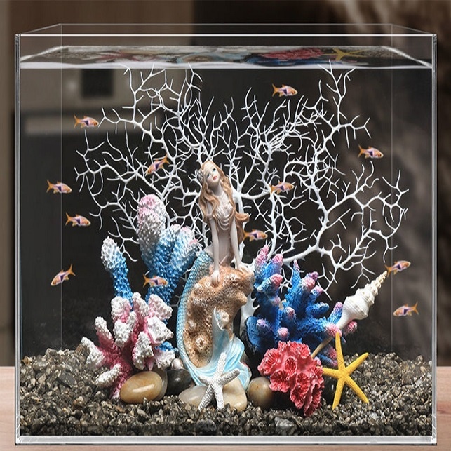 Hot Sale Aquarium Aquascape Co - Aquarium Plants For Sale avaliação e preço