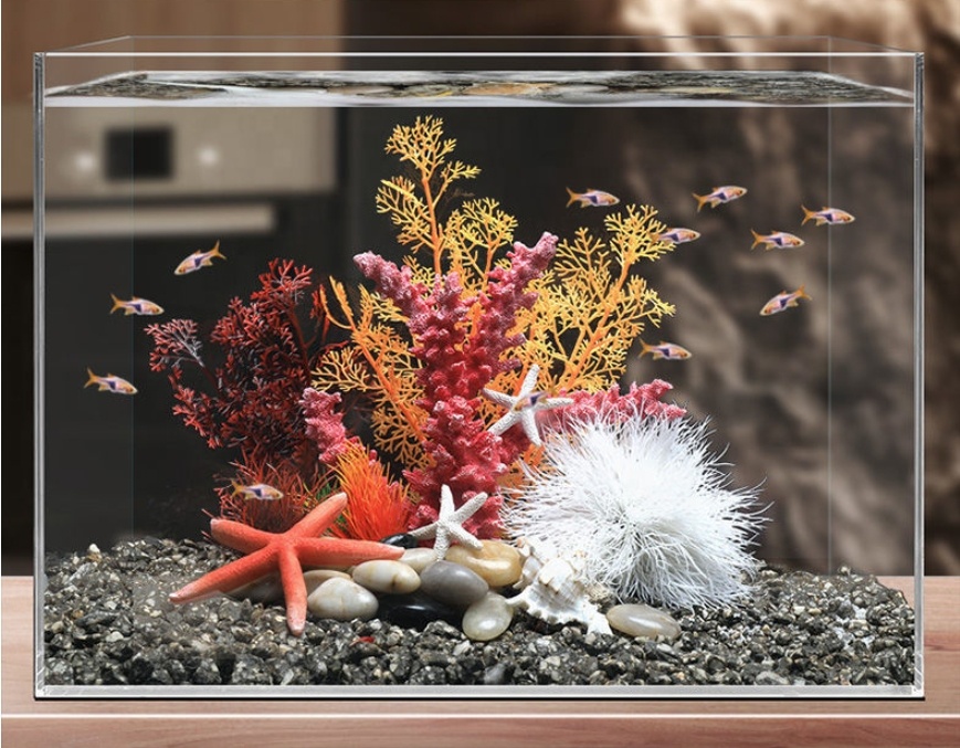 Hot Sale Aquarium Aquascape Co - Aquarium Plants For Sale avaliação e preço