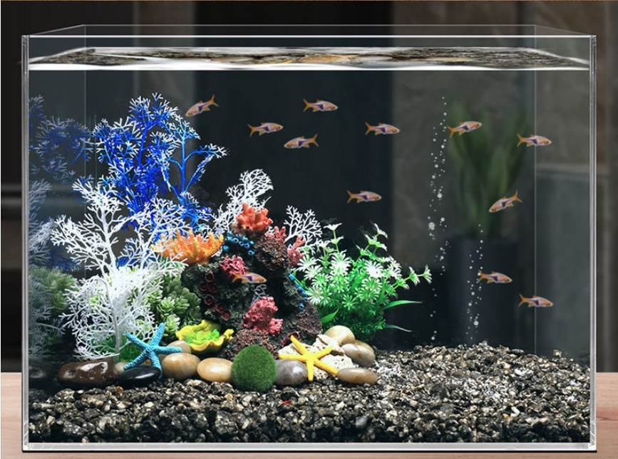 Hot Sale Aquarium Aquascape Co - Aquarium Plants For Sale avaliação e preço