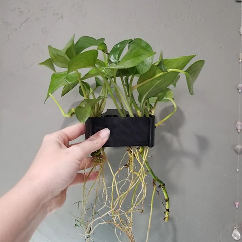 1 2 3Pcs Aquarium Plant Suppor - Aquarium Planted Setup avaliação e preço