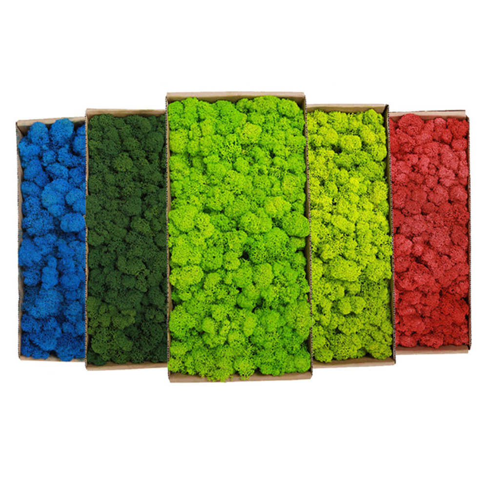 200g Artificial Green Plants M - Aquarium Plant Root Tabs avaliação e preço