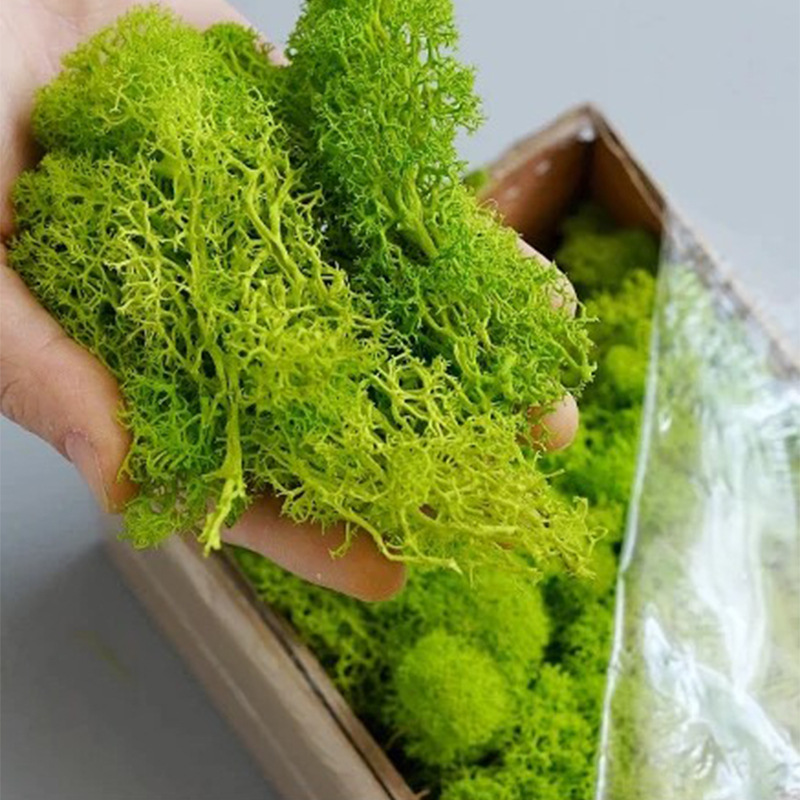 200g Artificial Green Plants M - Aquarium Plant Root Tabs avaliação e preço