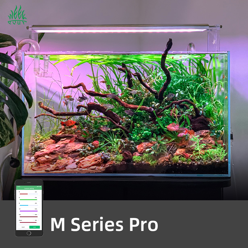 ZXY Hot Sales WEEK AQUA M1200P - Aquarium Plants For Sale avaliação e preço