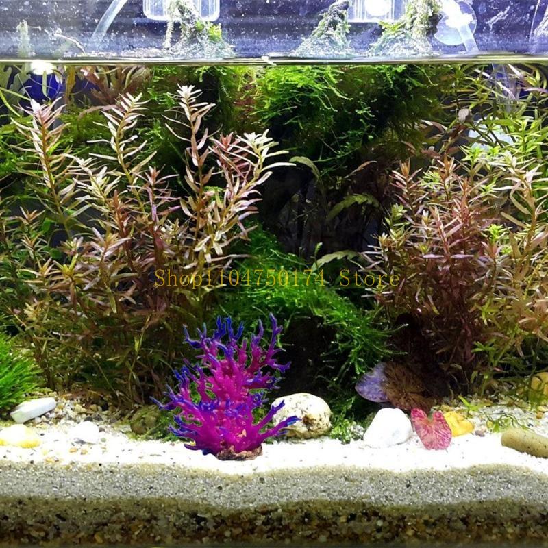 Artificial Water Plant Aquariu - Aquarium Plants For Sale avaliação e preço