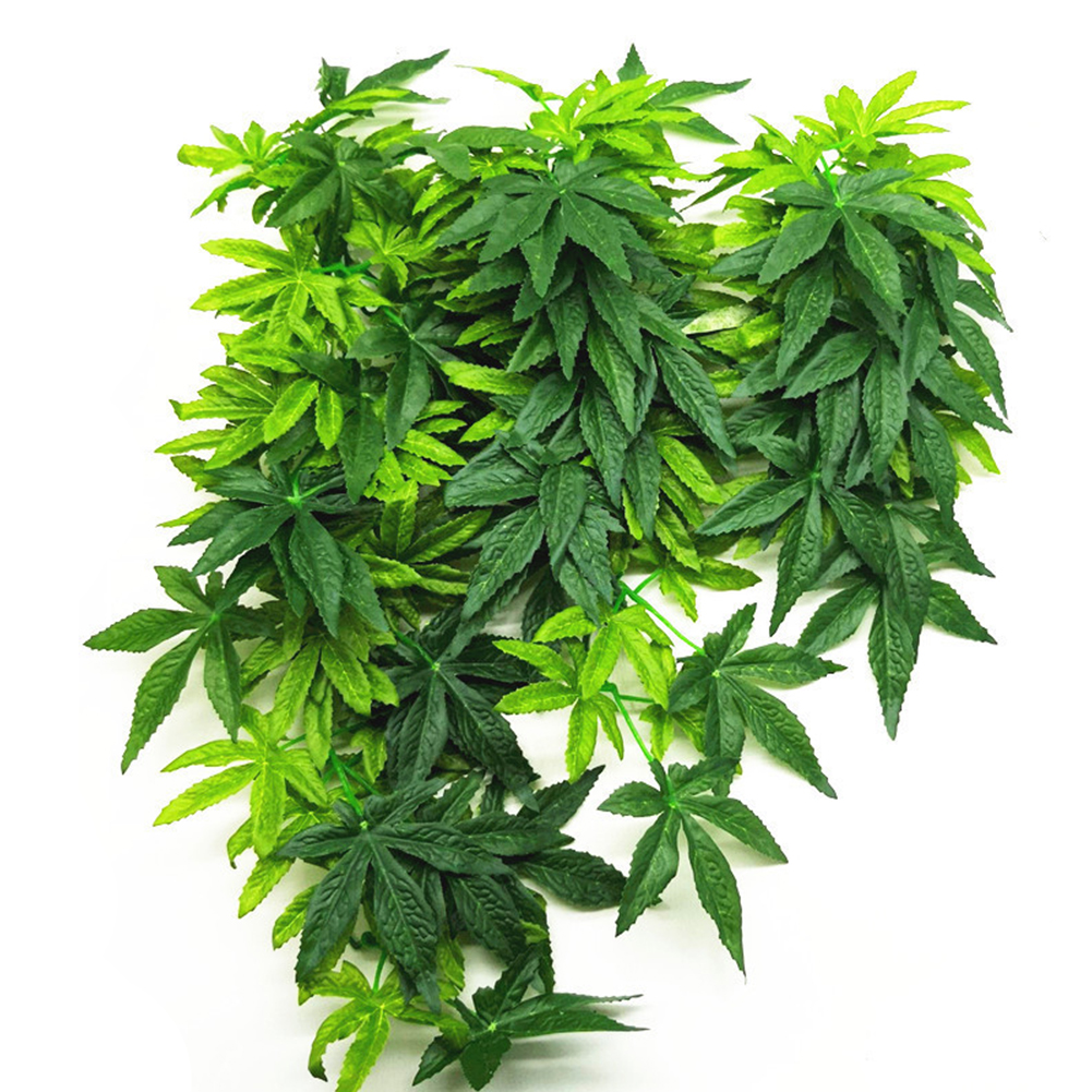 HOT SALE 30/40/50CM Aquarium R - Aquarium Plants For Sale avaliação e preço