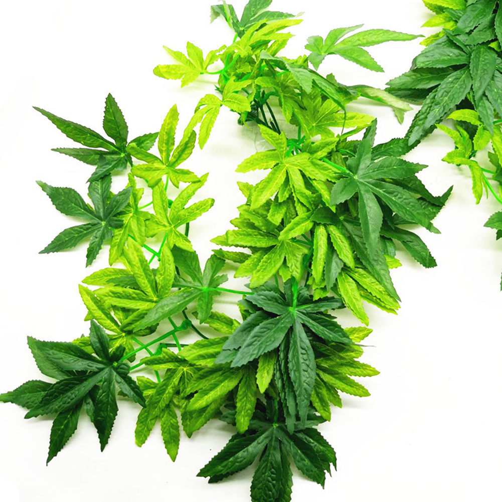 HOT SALE 30/40/50CM Aquarium R - Aquarium Plants For Sale avaliação e preço