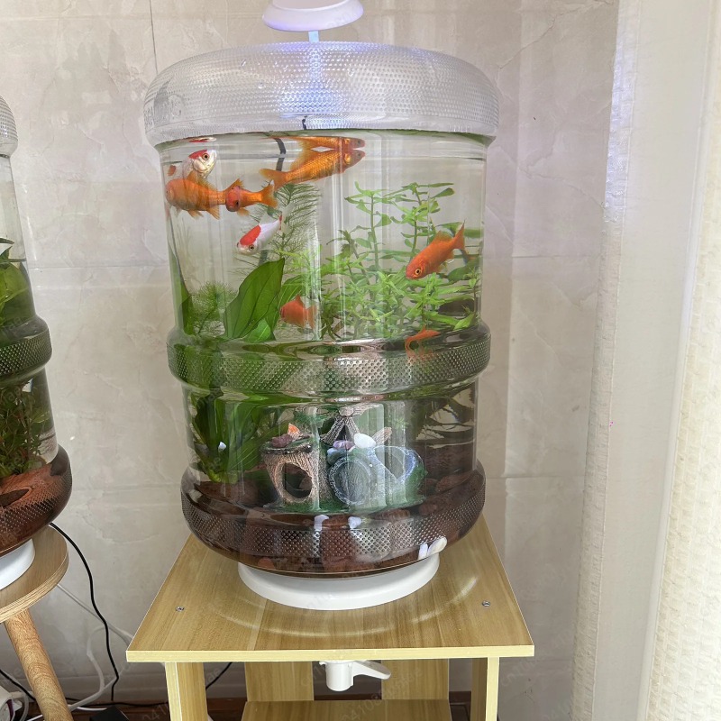 Instant Setup Home Fish Tank 3 - Aquarium Planted Setup avaliação e preço